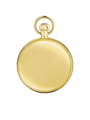 Case Gold Plated Dial White Dial Roman