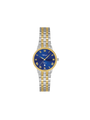 Case Two Tone Gold Plated Stainless Steel Dial Blue Dial Champagne Roman Bracelet