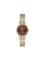 Case Two Tone Gold Plated Stainless Steel Dial Brown Dial Champagne Roman Bracelet