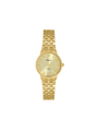 Case Gold Plated Stainless Steel Dial Champagne Dial Champagne Roman Bracelet