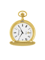 Case Gold Plated Dial White Dial Roman 