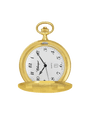 Case Gold Plated Dial White Dial Arabic