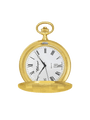 Case Gold Plated Dial White Dial Roman