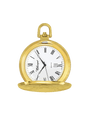 Case Gold Plated Dial White Dial Roman 