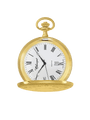 Case Gold Plated Dial White Dial Roman