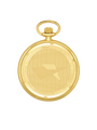 Case Gold Plated Stainless Steel Dial Black Dial White Arabic