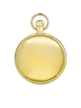 Case Gold Plated Dial White Dial Arabic