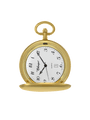Case Gold Plated Dial White Dial Arabic