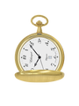 Case Gold Plated Dial White Dial Arabic
