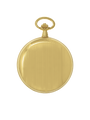 Case Gold Plated Dial White Dial Roman