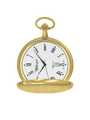 Case Gold Plated Dial White Dial Roman