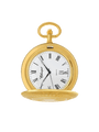Case Gold Plated Dial White Dial Roman