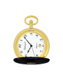 Case Gold Plated Dial White Dial Arabic