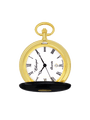 Case Gold Plated Dial White Dial Roman
