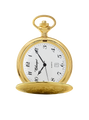 Case Gold Tone Dial White Dial Arabic