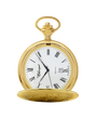 Case Gold Tone Dial White Dial Roman
