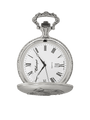 Case Antique Silver Tone Dial White Dial Roman