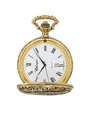 Case Antique Gold Tone Dial White Dial Roman