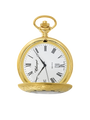 Case Gold Plated Dial White Dial Roman